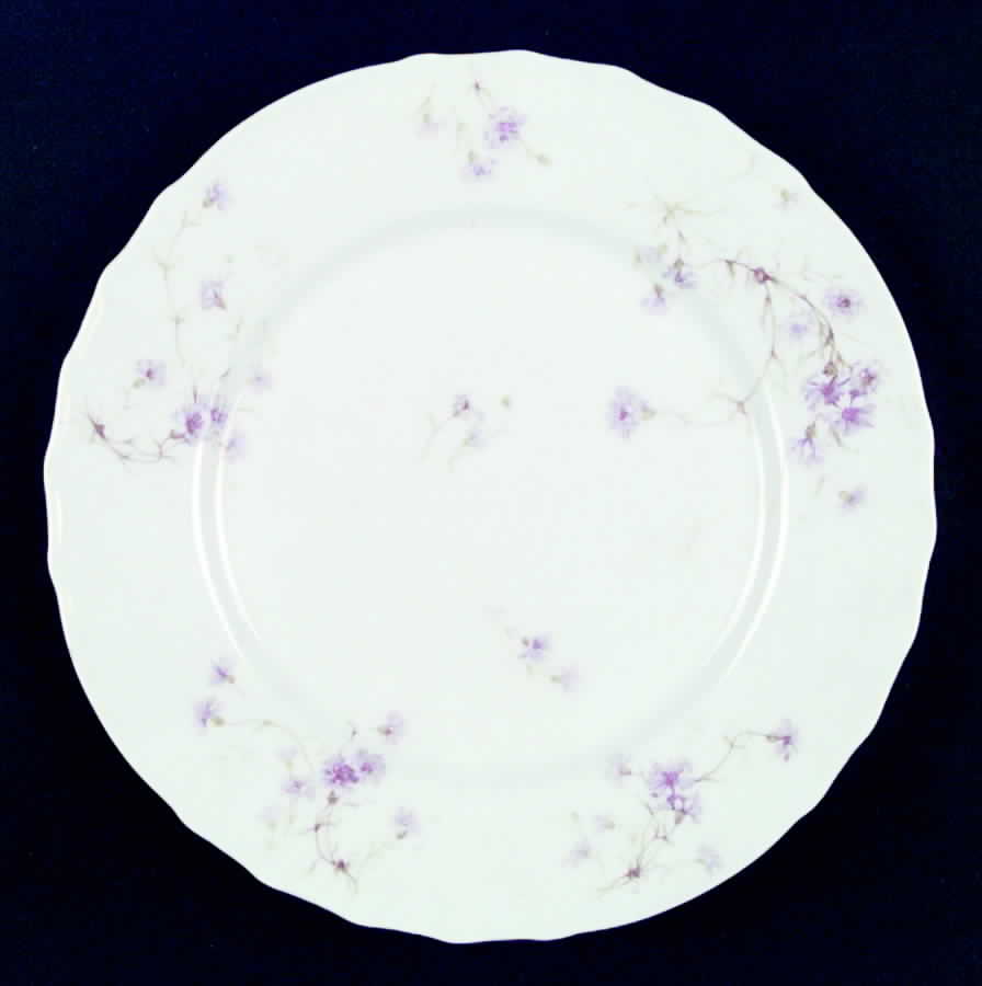 Schleiger 1019-1 Dinner Plate by Haviland-1