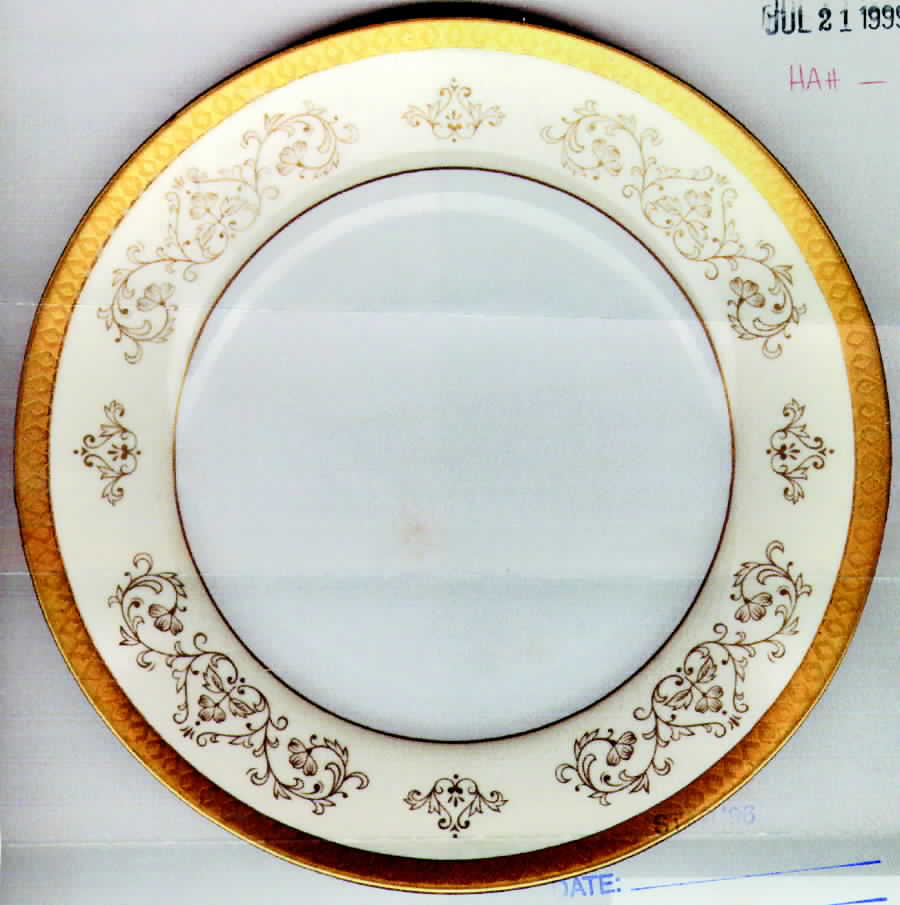 HAH8 Dinner Plate by Harmony House China-1
