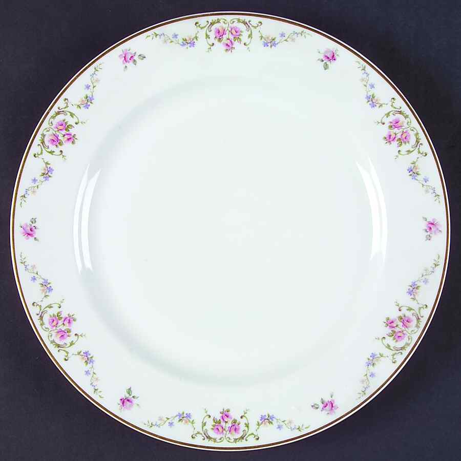 Schleiger 703a Dinner Plate by Haviland-1