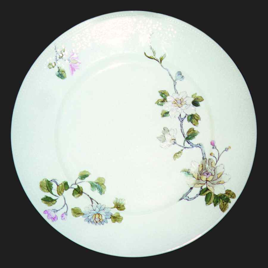H806 Dinner Plate by Haviland-1