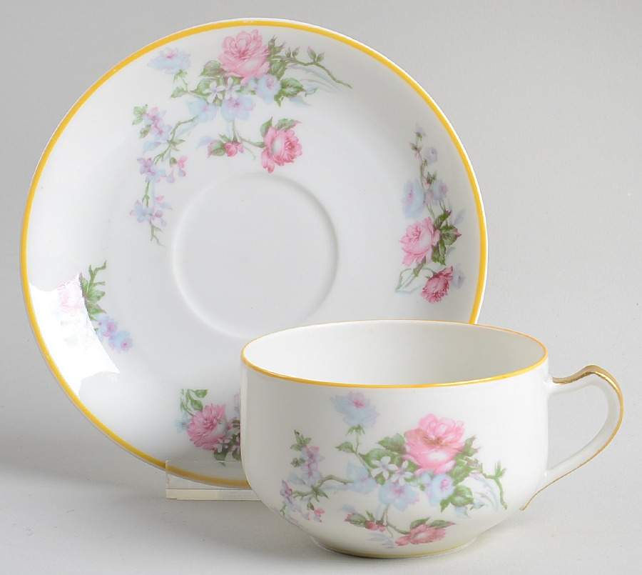 Schleiger 261a Flat Cup & Saucer Set by Haviland-1