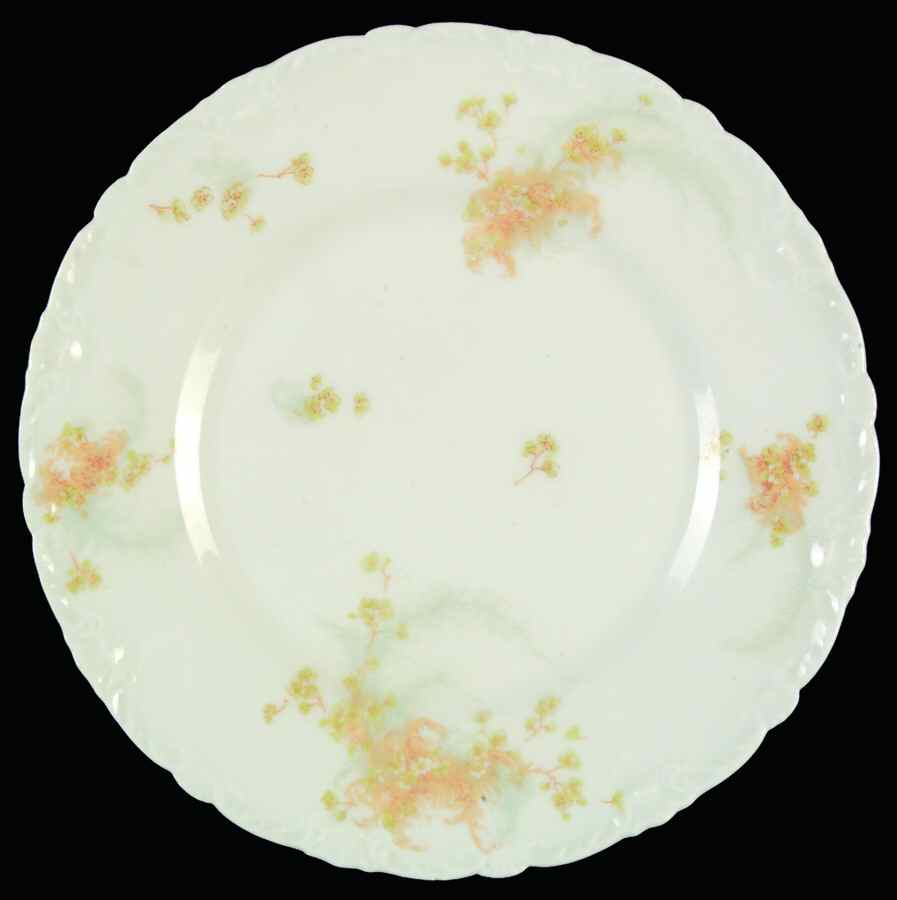 Schleiger 836-3 Salad Plate by Haviland-1