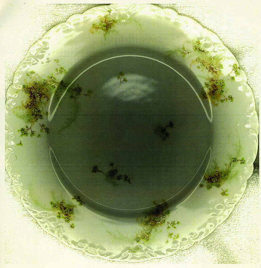 Schleiger 836-3 Dinner Plate by Haviland-1