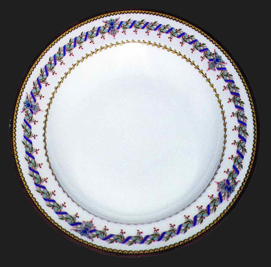 H816 Dinner Plate by Haviland-1