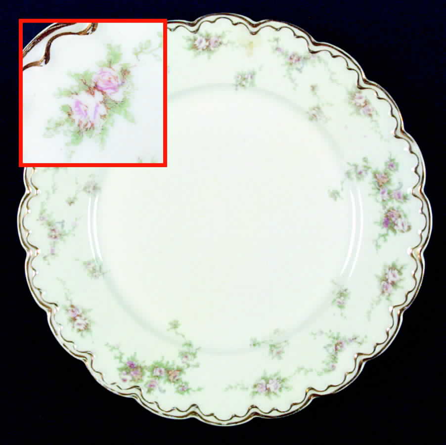 H821 Dinner Plate by Haviland-1