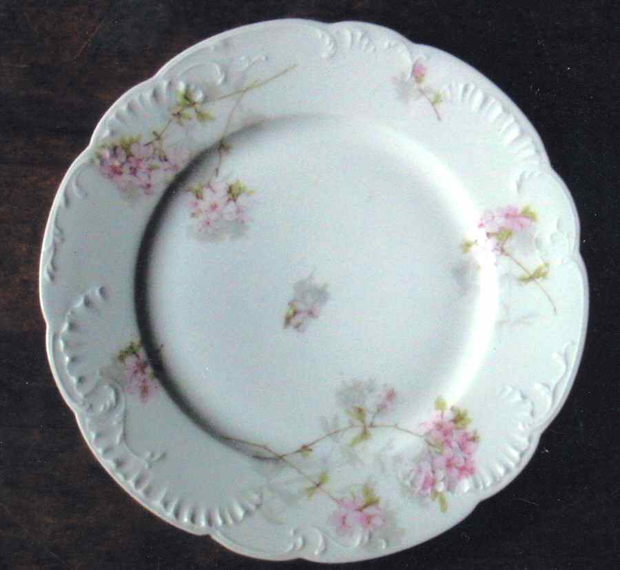 Schleiger 83d Salad Plate by Haviland-1
