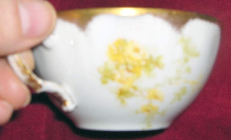 Schleiger 42o Flat Cup by Haviland-1
