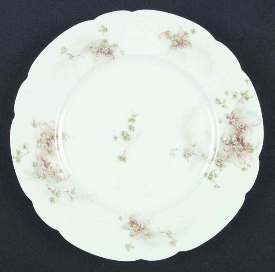 Schleiger 836-7 Salad Plate by Haviland-1