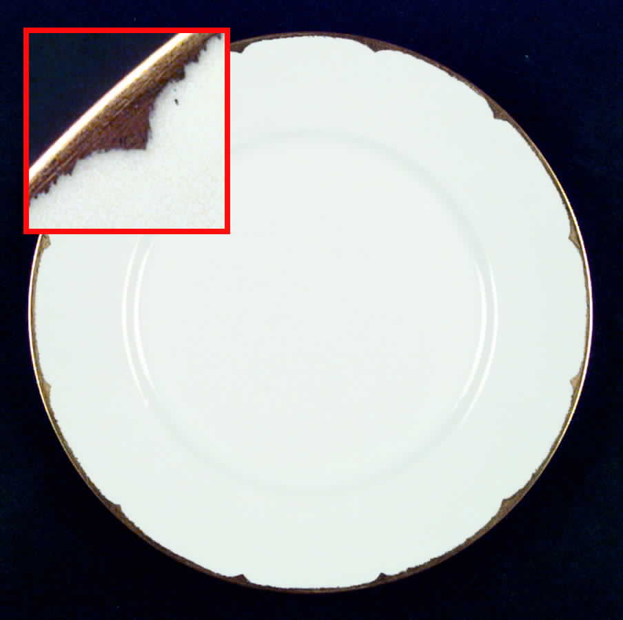 HUT684 Dinner Plate by Hutschenreuther-1