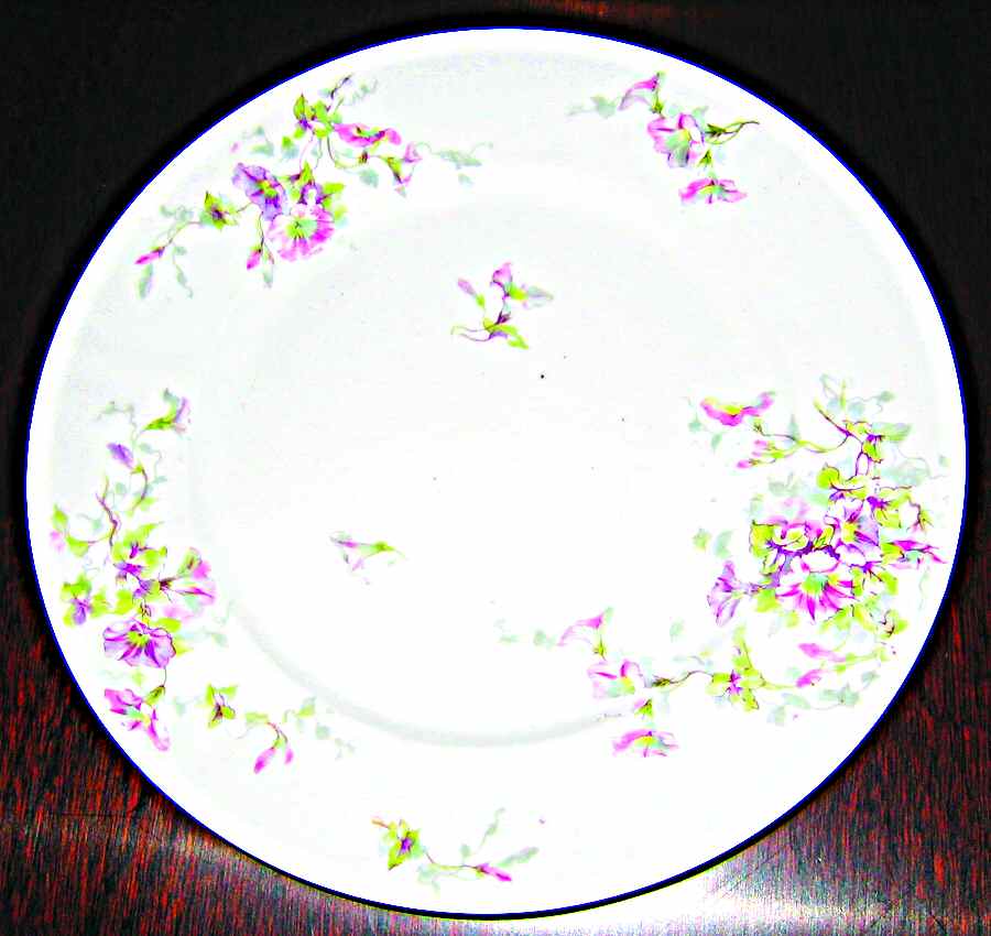 Schleiger 333l Dinner Plate by Haviland-1