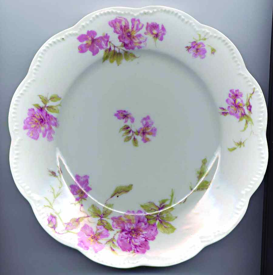 Schleiger 59c Salad Plate by Haviland-1