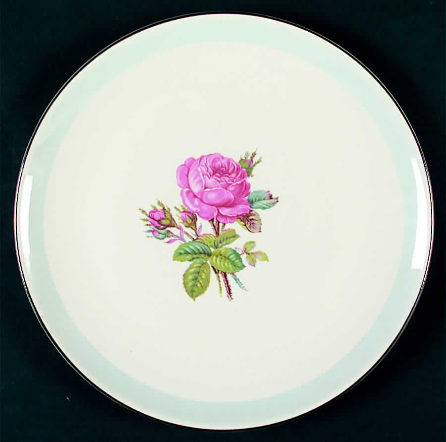 HLC951 Dinner Plate by Homer Laughlin -1