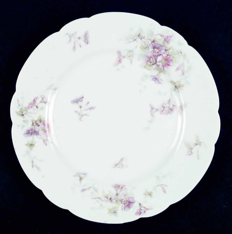 Schleiger 333-6 Dinner Plate by Haviland-1