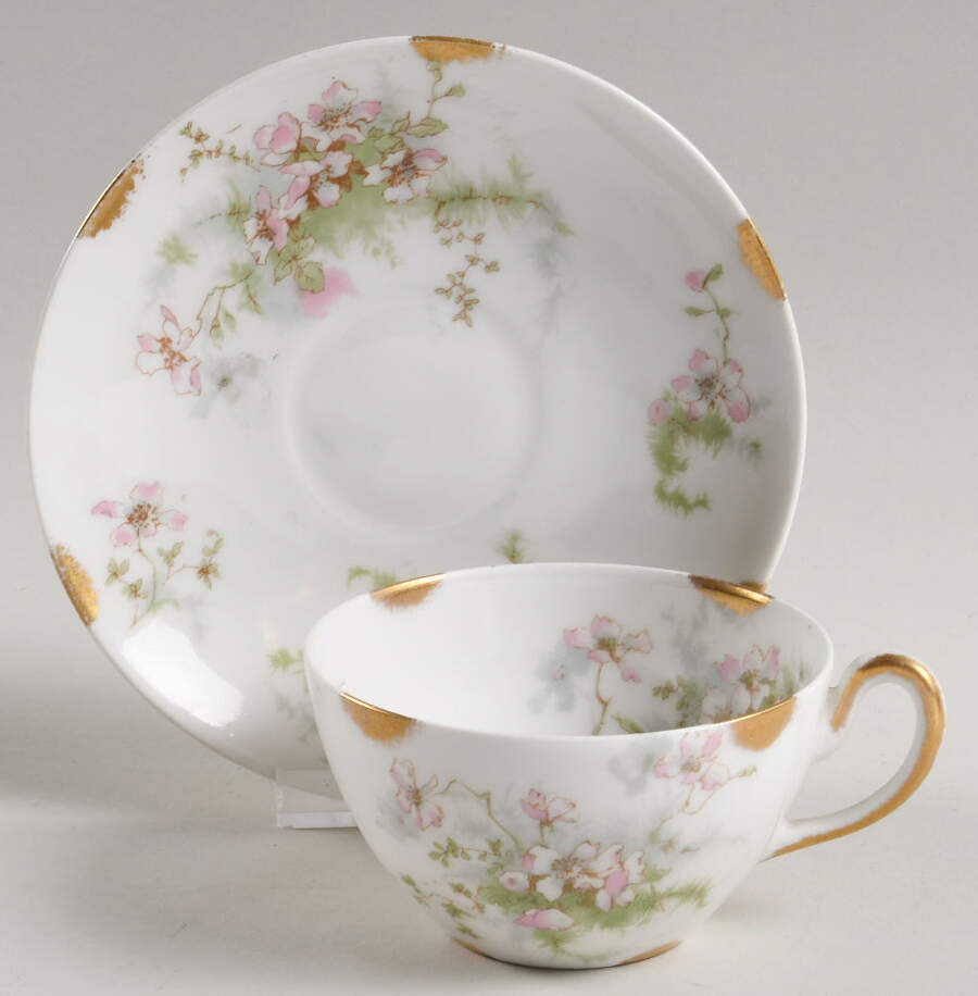 Schleiger 146q Flat Cup & Saucer Set by Haviland-1