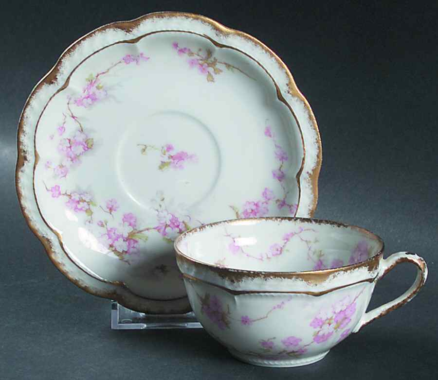 Schleiger 248q Flat Cup & Saucer Set by Haviland-1