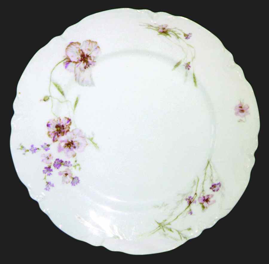 H831 Dinner Plate by Haviland-1