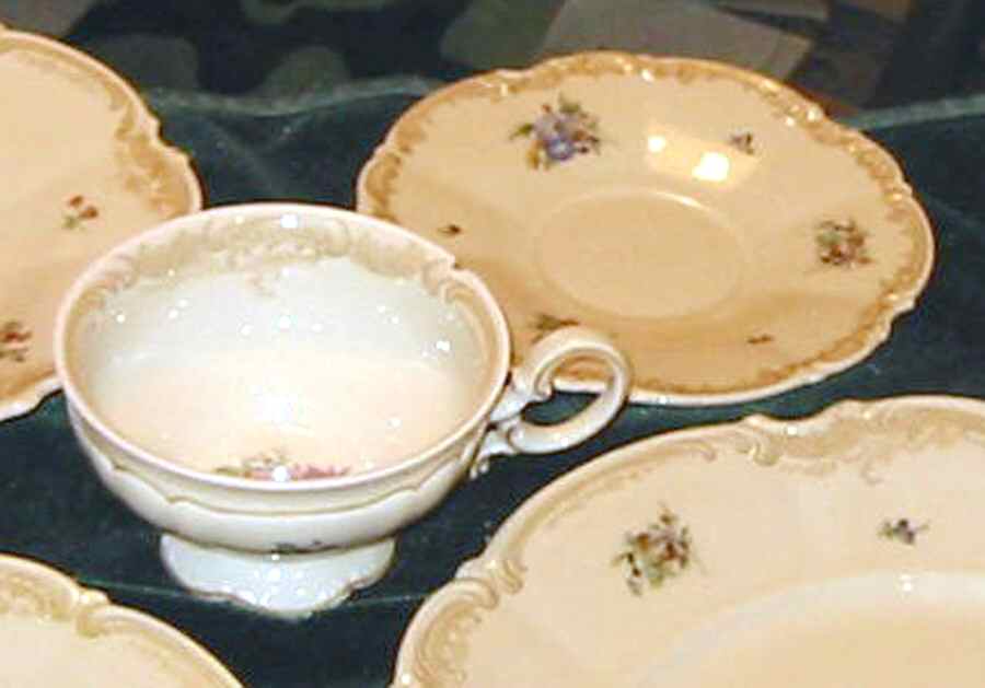 HUT675 Footed Cup & Saucer Set by Hutschenreuther-1