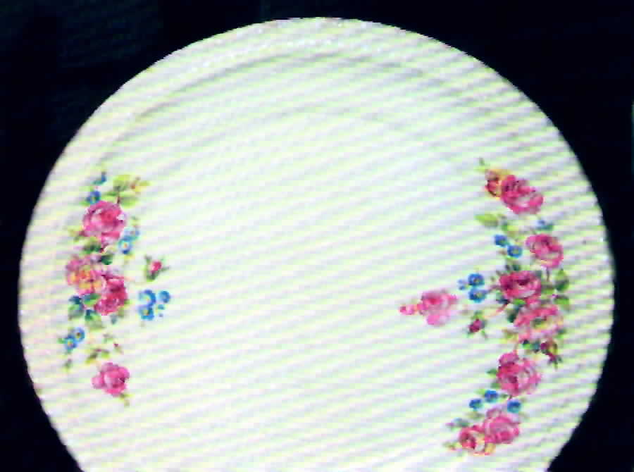 HAR56 Dinner Plate by Harker-1