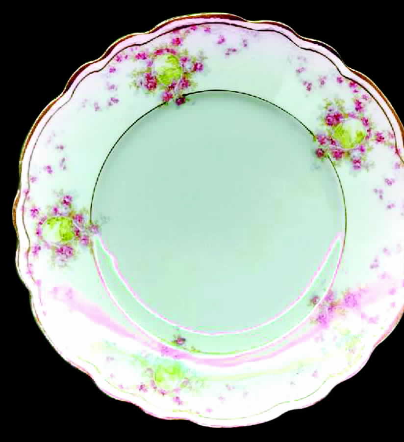 H104 Dinner Plate by Homer Laughlin -1