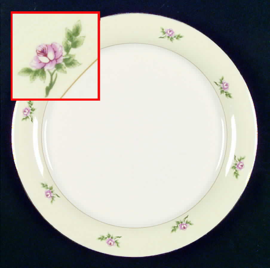 HLC961 Dinner Plate by Homer Laughlin -1