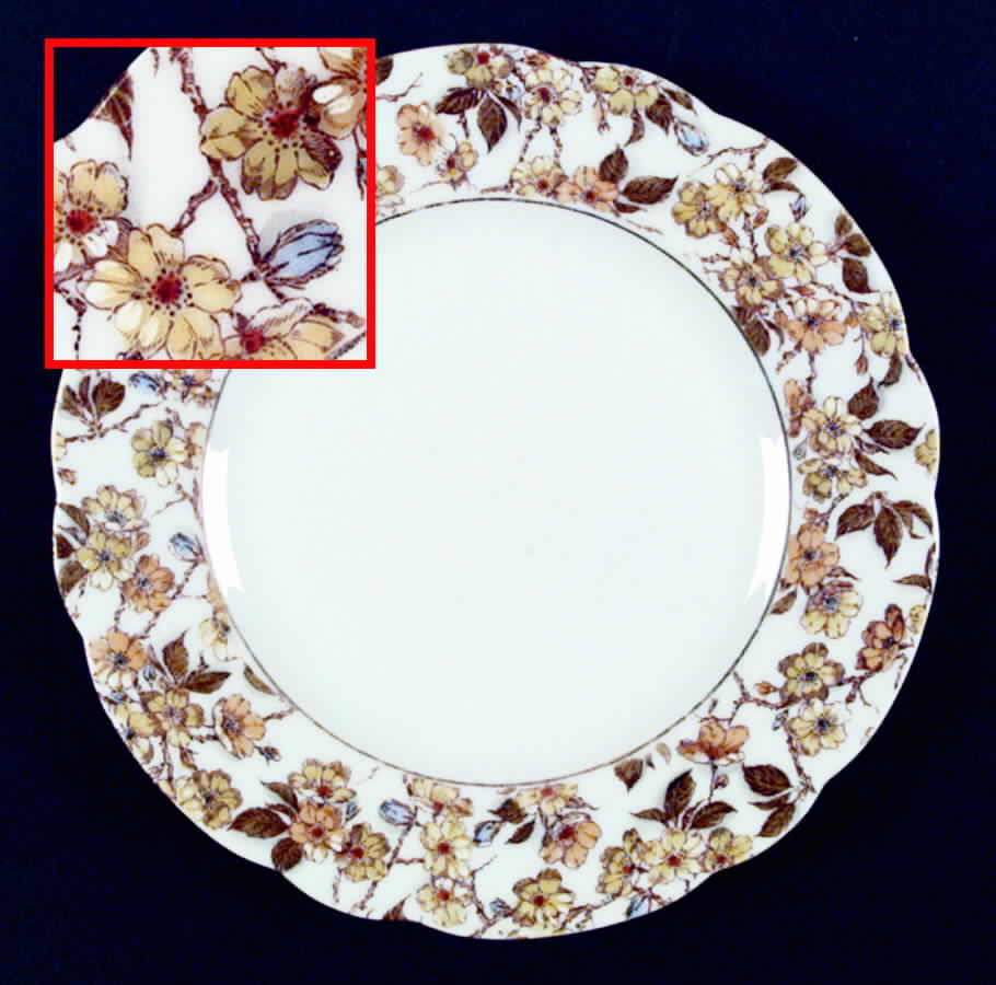 Schleiger 1187-2 Salad Plate by Haviland-1