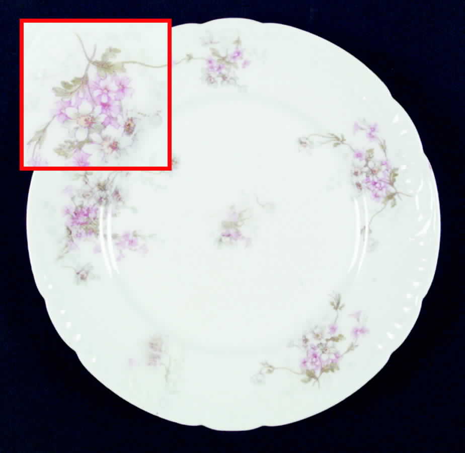 H839 Dinner Plate by Haviland-1