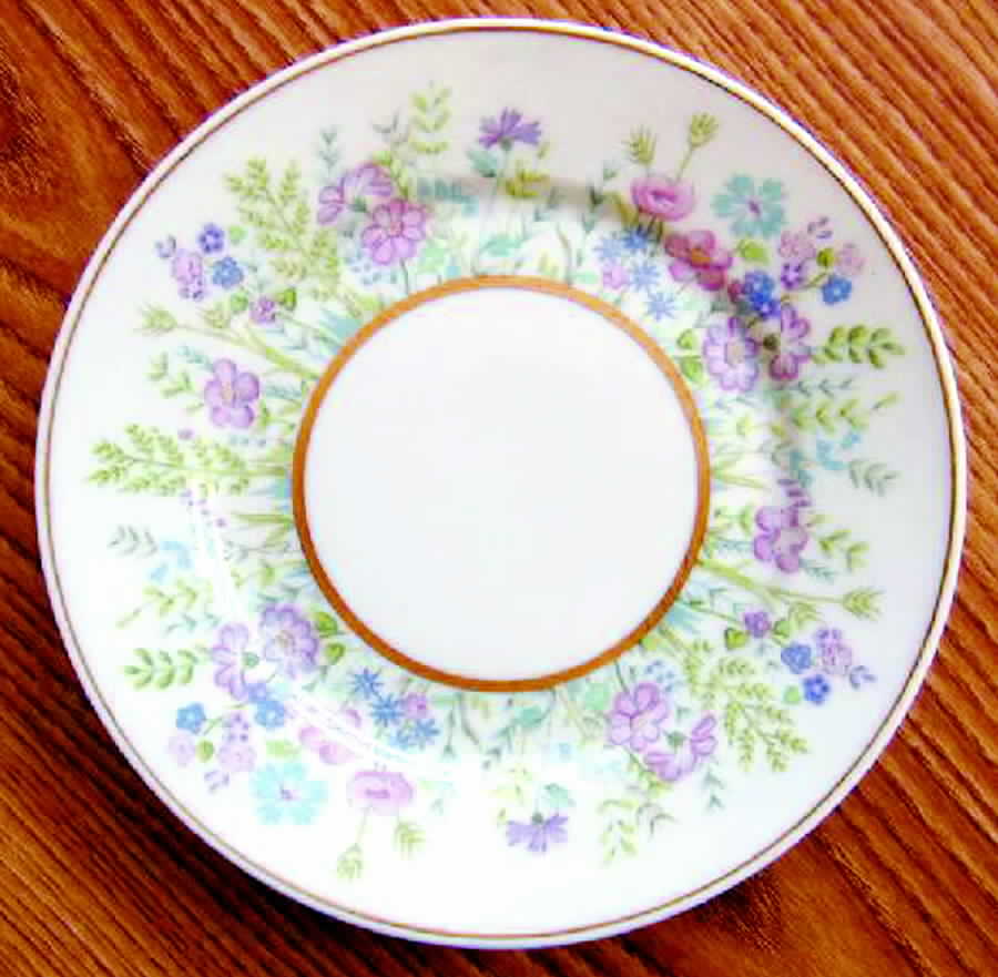 H875 Bread & Butter Plate by Haviland-1