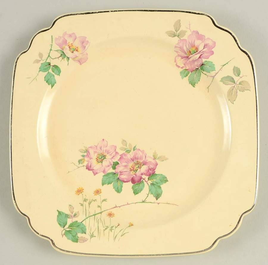 C33 (Platinum Trim) Salad Plate by Homer Laughlin -1