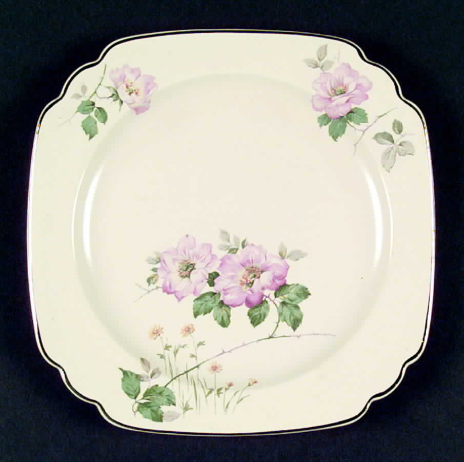 C33 (Platinum Trim) Dinner Plate by Homer Laughlin -1