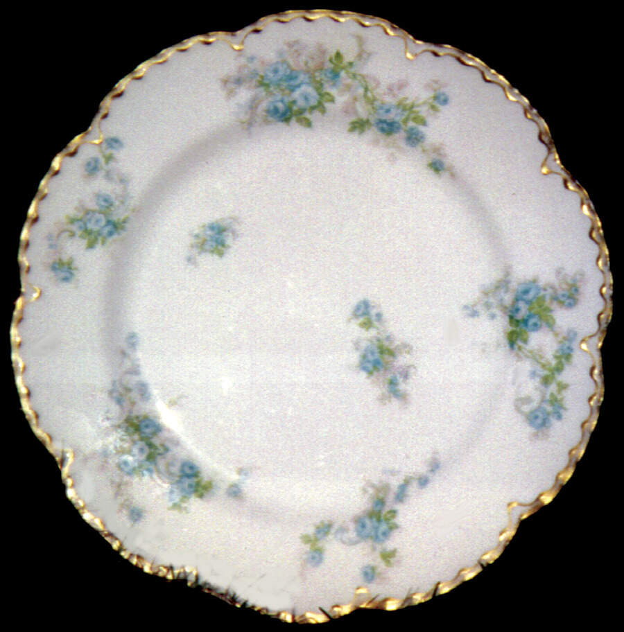 Schleiger 228e Dinner Plate by Haviland-1
