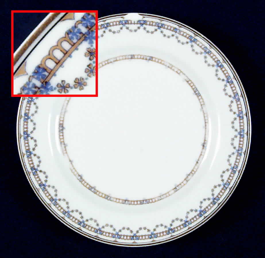 Schleiger 994-1 Salad Plate by Haviland-1