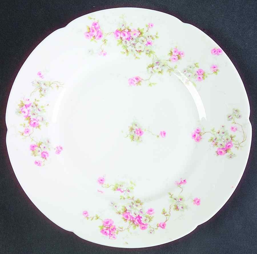 Schleiger 320-7 Salad Plate by Haviland-1