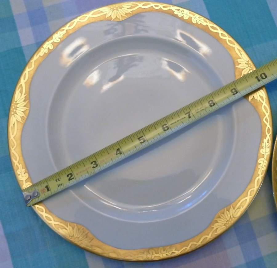 HUT693 Dinner Plate by Hutschenreuther-1