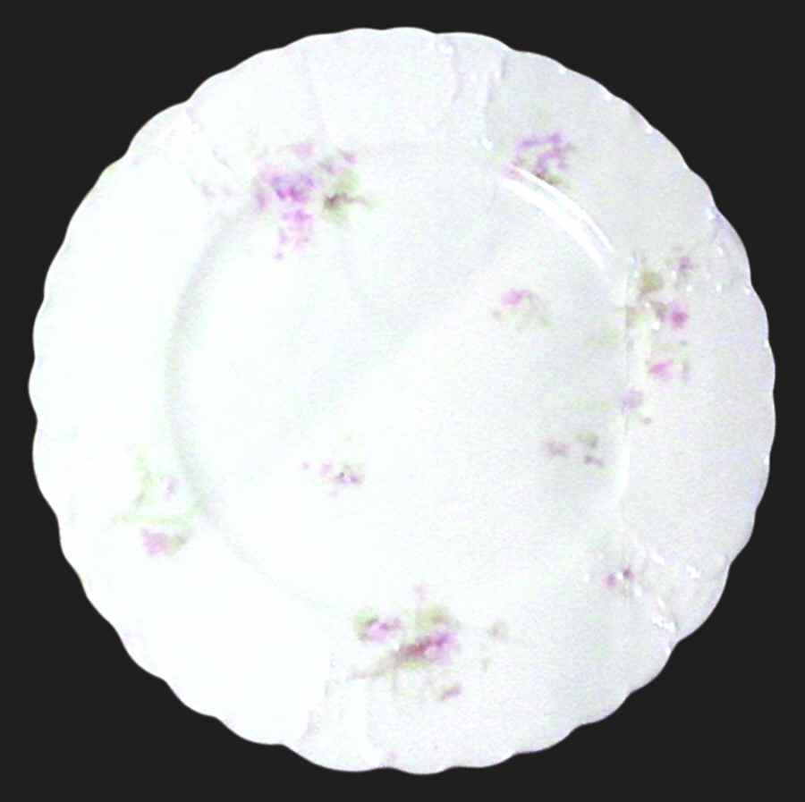Schleiger 452-2 Dinner Plate by Haviland-1