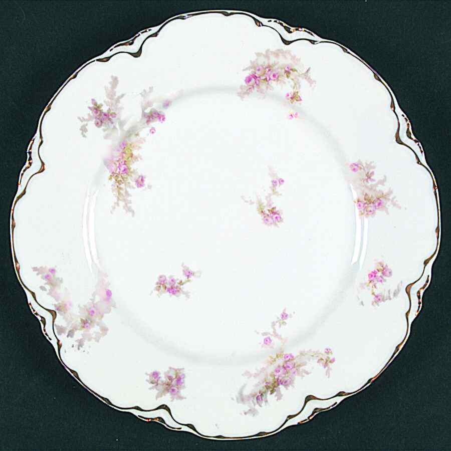 Schleiger 223-1 Dinner Plate by Haviland-1