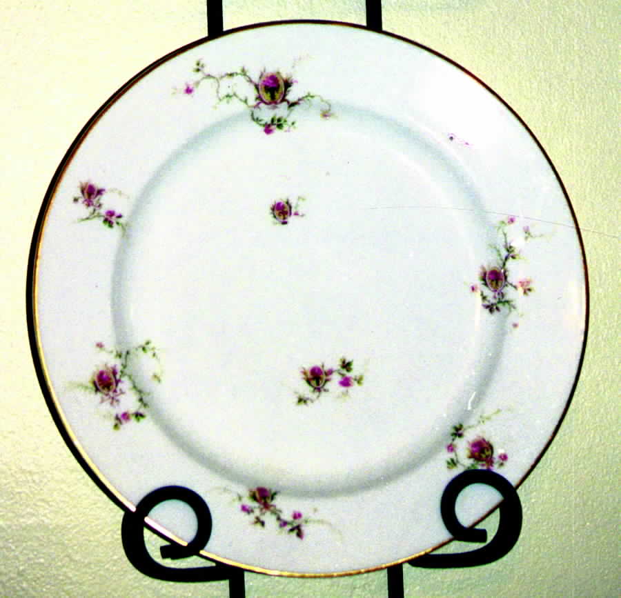 H887 Dinner Plate by Haviland-1