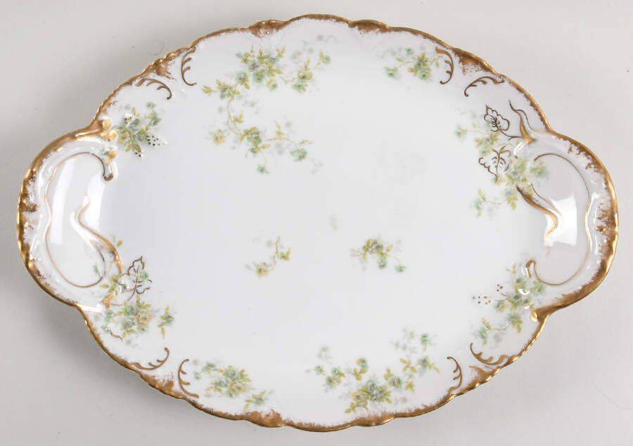 Schleiger 150g 14" Oval Serving Platter by Haviland-1