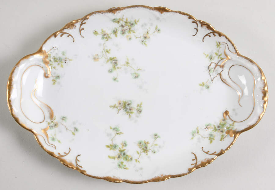 Schleiger 150g 11" Oval Serving Platter by Haviland-1
