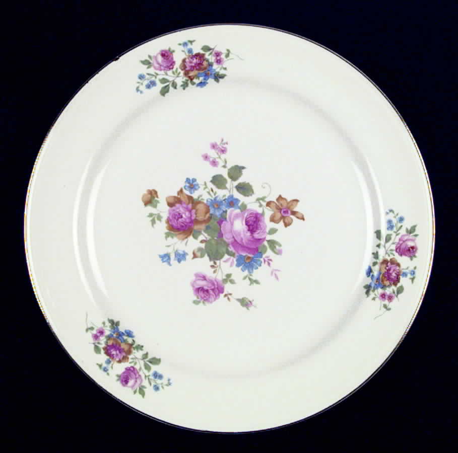 HLC969 Dinner Plate by Homer Laughlin -1
