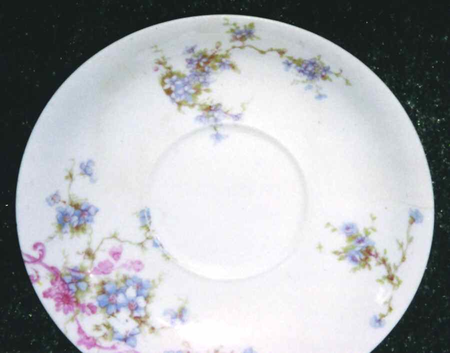 Schleiger 155m Saucer by Haviland-1