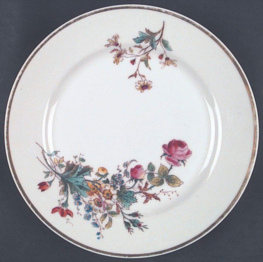 H902 Dinner Plate by Haviland-1