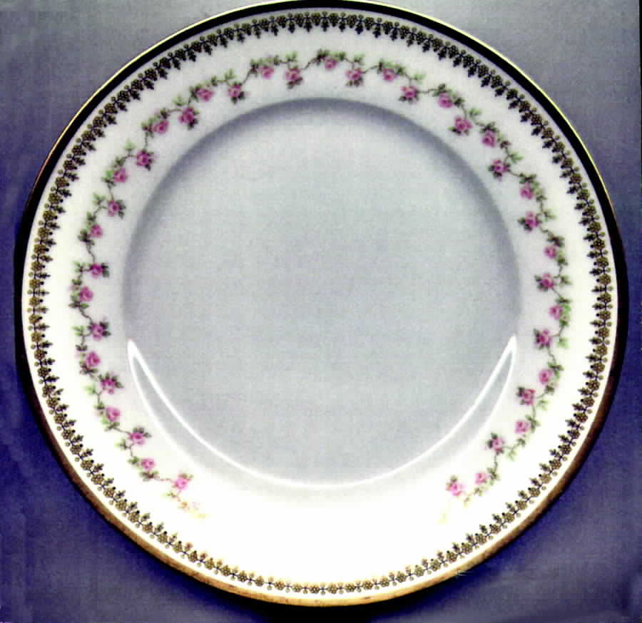 Schleiger 620-1 Dinner Plate by Haviland-1