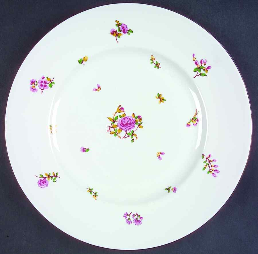 HEP14 Dinner Plate by Graf Von Henneberg-1