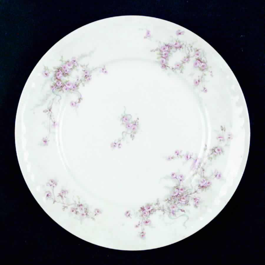 Schleiger 342s-1 Salad Plate by Haviland-1