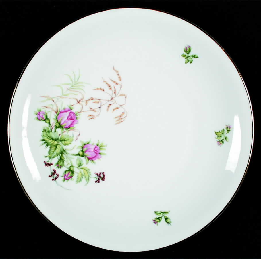 Moss Rose (White Background, Coupe) Dinner Plate by Heinrich - H&C-1