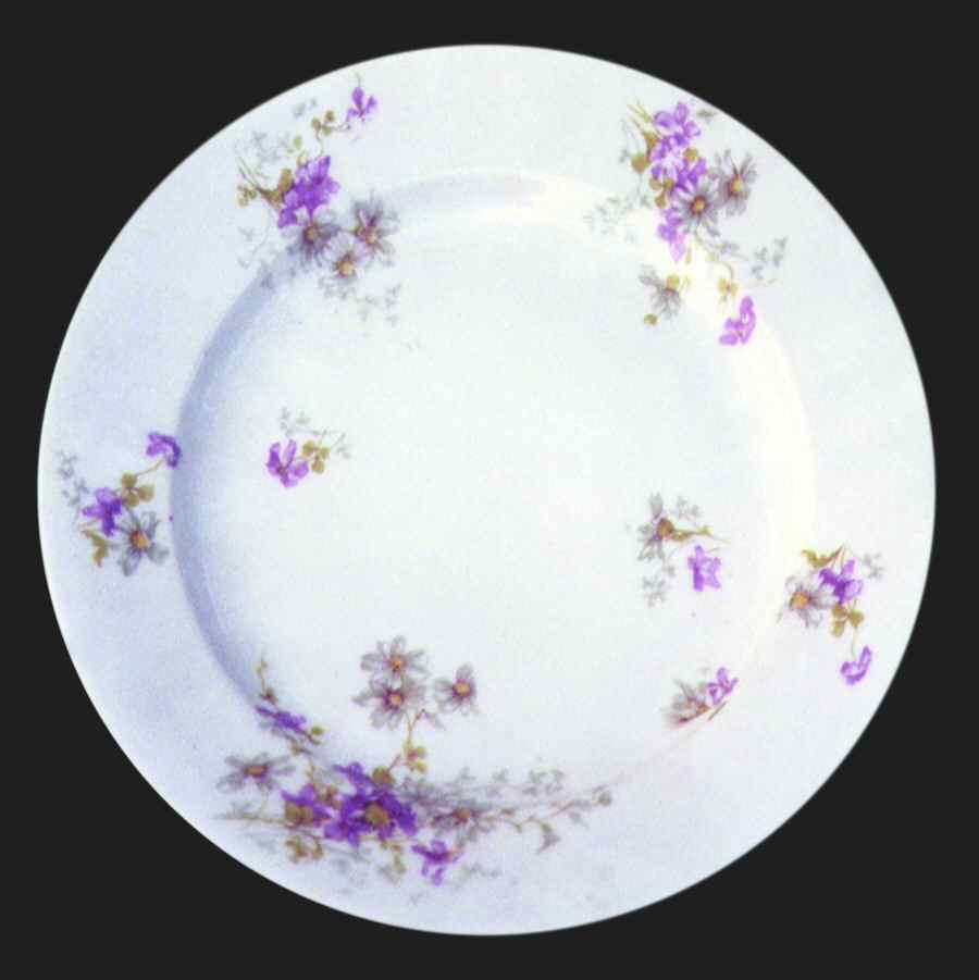 Schleiger 331-6 Dinner Plate by Haviland-1