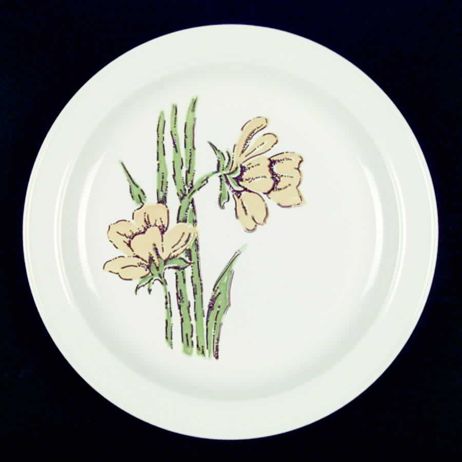 HLC980 Dinner Plate by Homer Laughlin -1