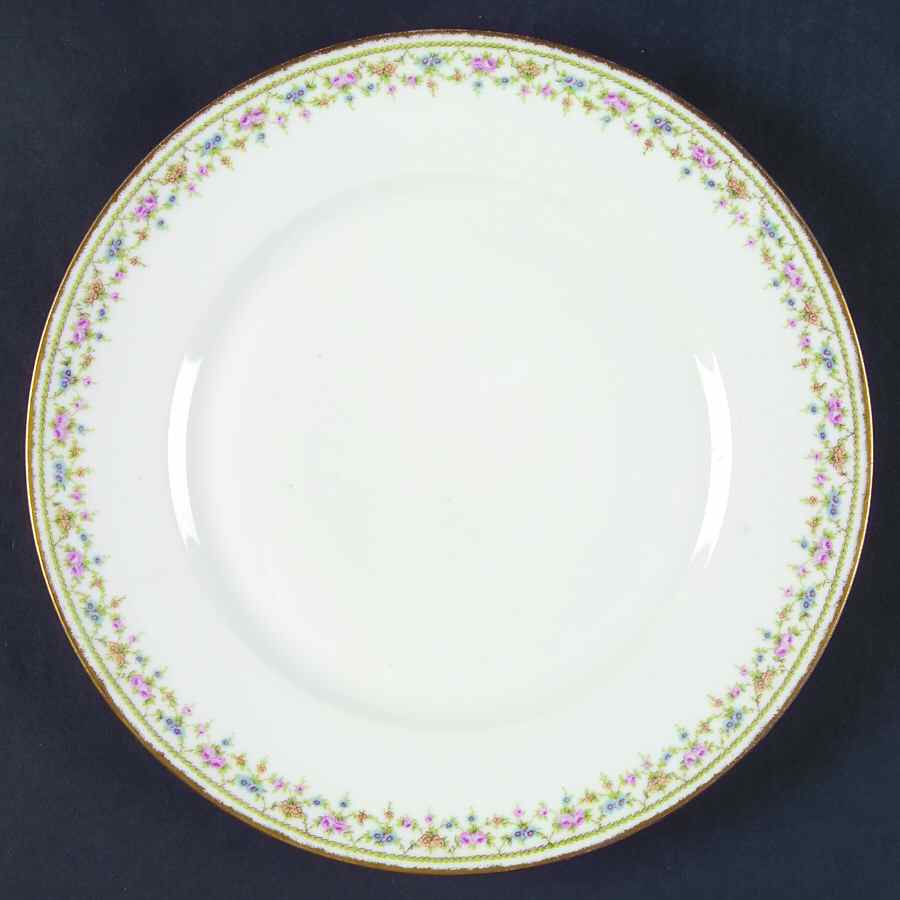 Schleiger 630f Dinner Plate by Haviland-1