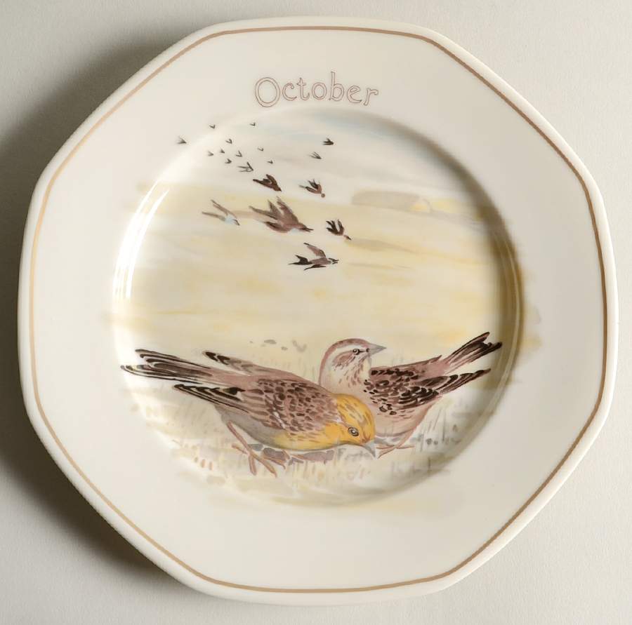 The Country Diary of An Edwardian Lady Salad Plate by Heinrich - H&C-1