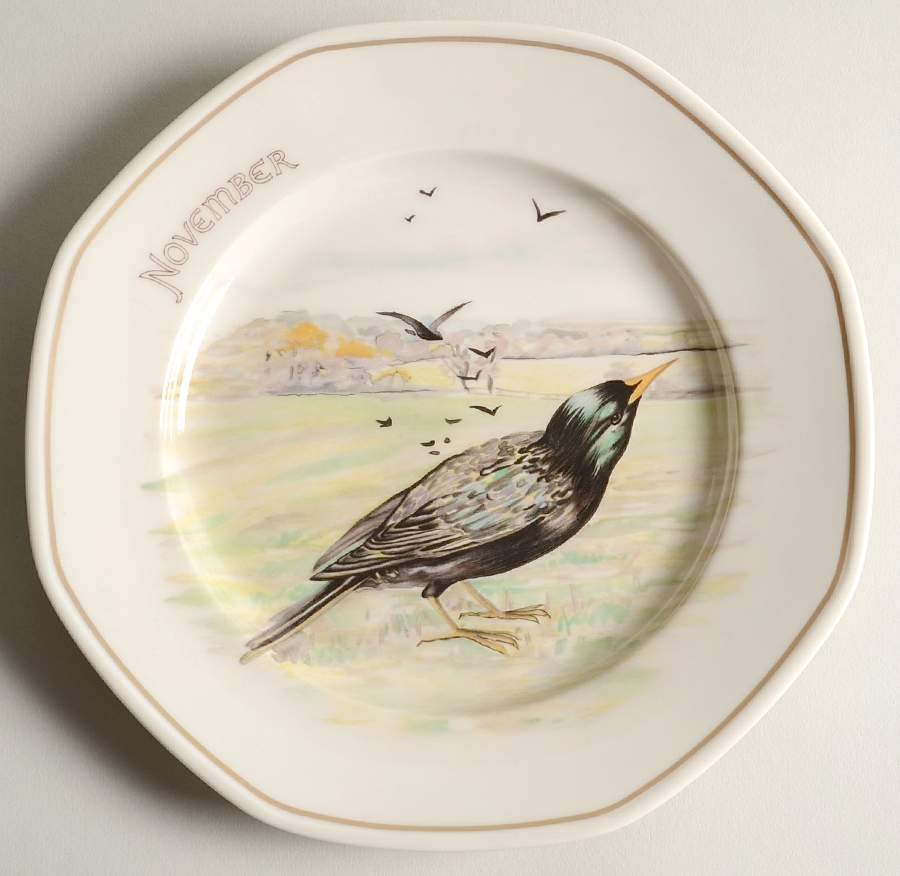 The Country Diary of An Edwardian Lady Salad Plate by Heinrich - H&C-1